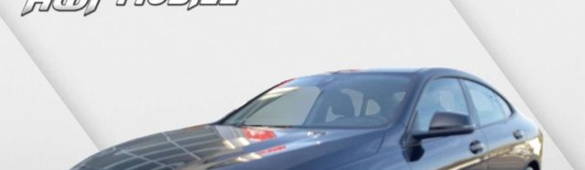 BMW 218 218 i Advantage