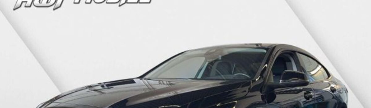BMW 218 218 i Advantage