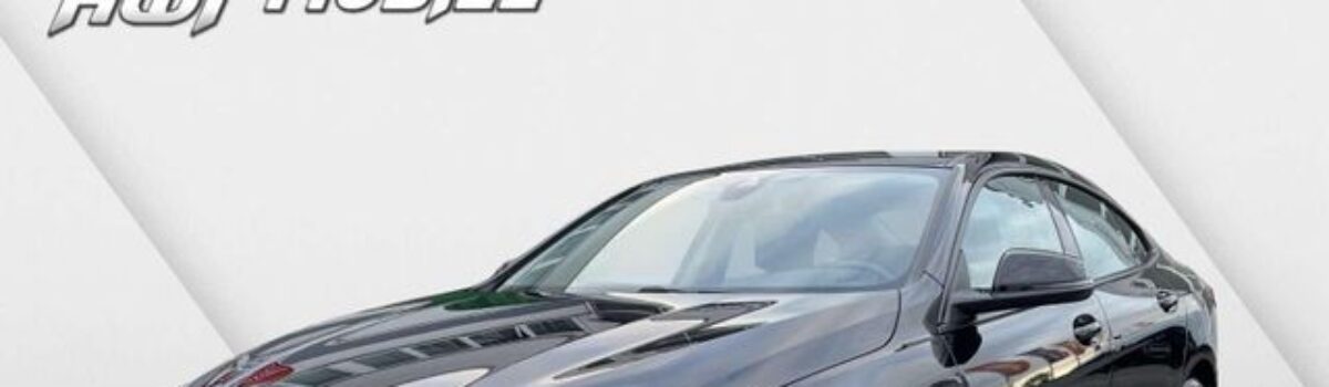 BMW 218 218 i Advantage