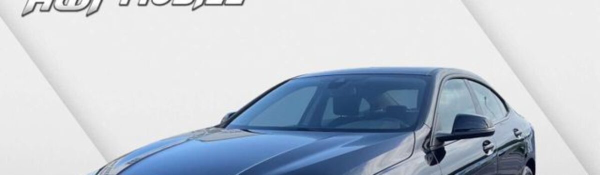 BMW 218 218 i Advantage