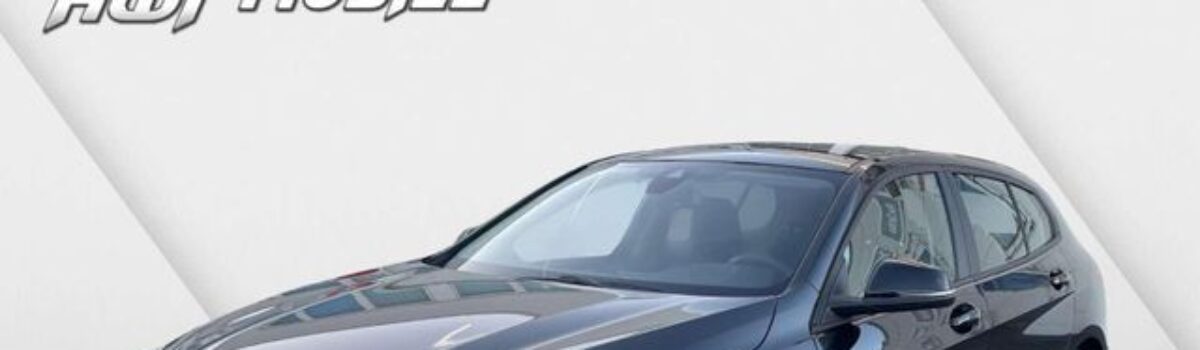 BMW 118 118 i Advantage