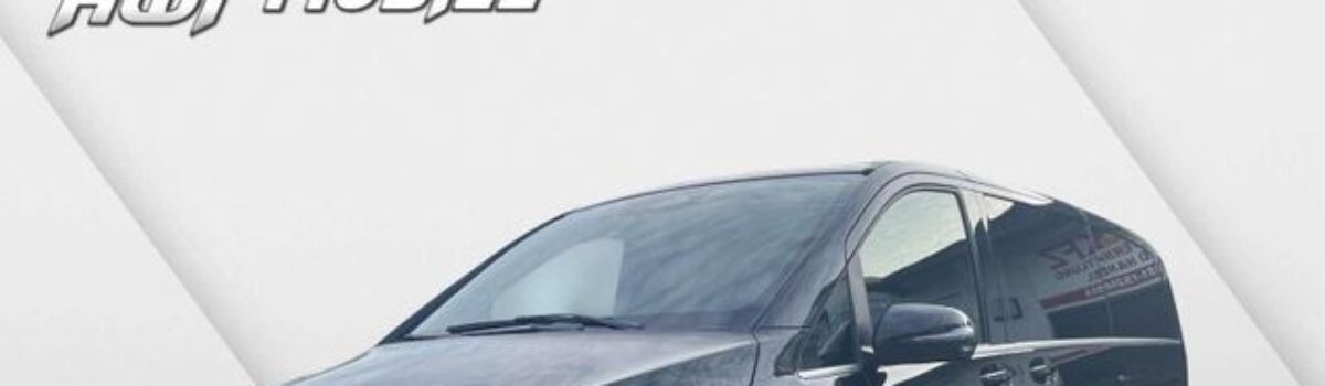 Mercedes-Benz V 250 V 250 d RWD AVANTGARDE lang (447.813)